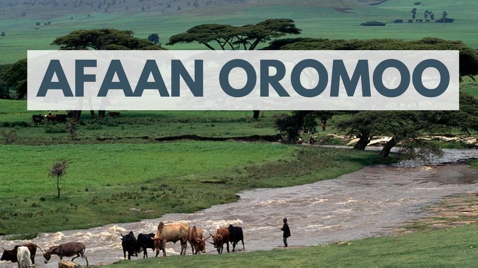 Yalangoch Olga fotosuratlarini koring Qamoqxonalarda jinsiy aloqa video