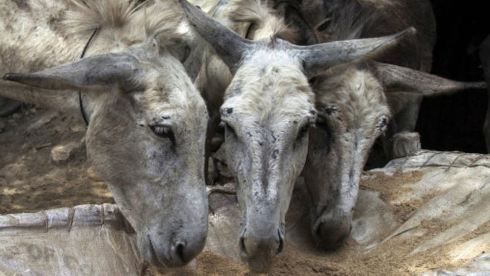 Jinsiy aloqada bolgan ayollarning fotosuratlarini koring