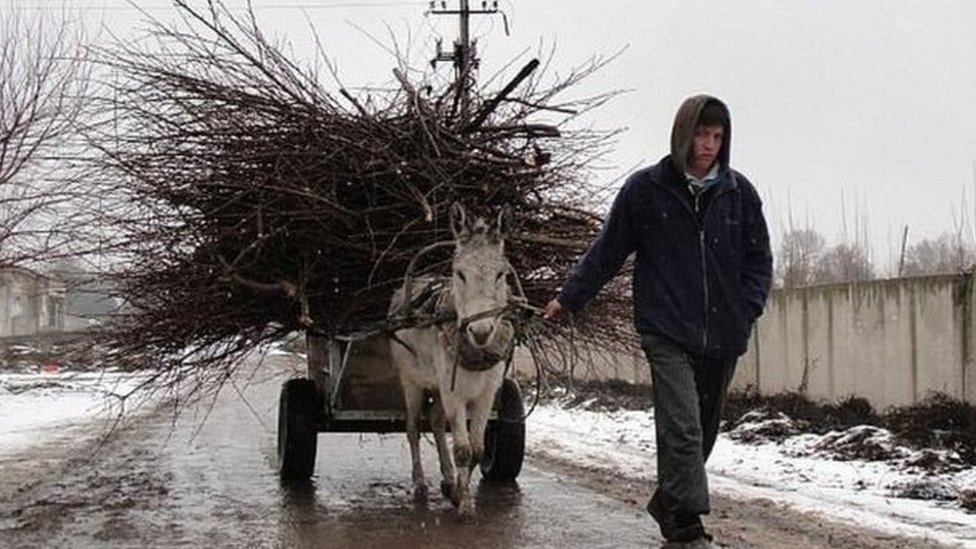 Ogil onasini internetda jinsiy aloqa qilishga undadi