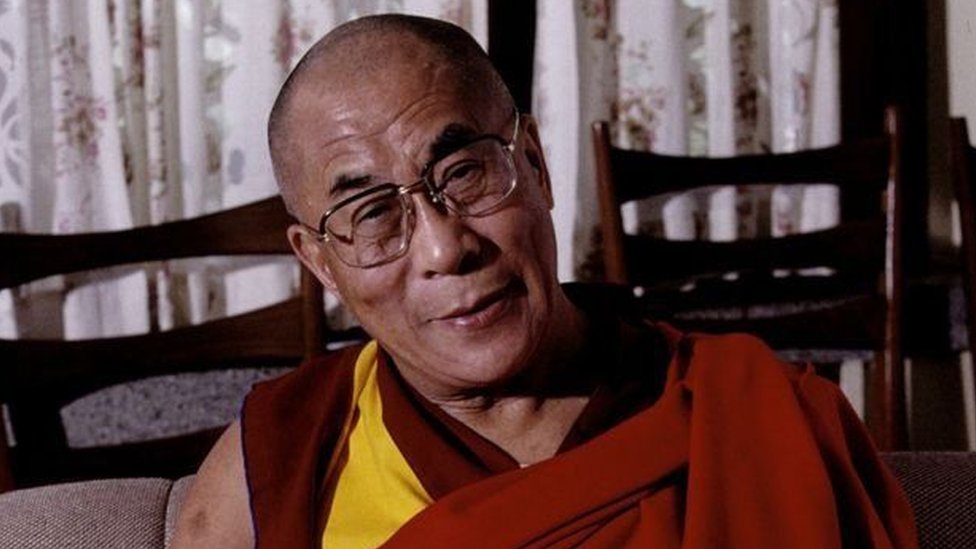 Sohillarda yalangoch mushuklar