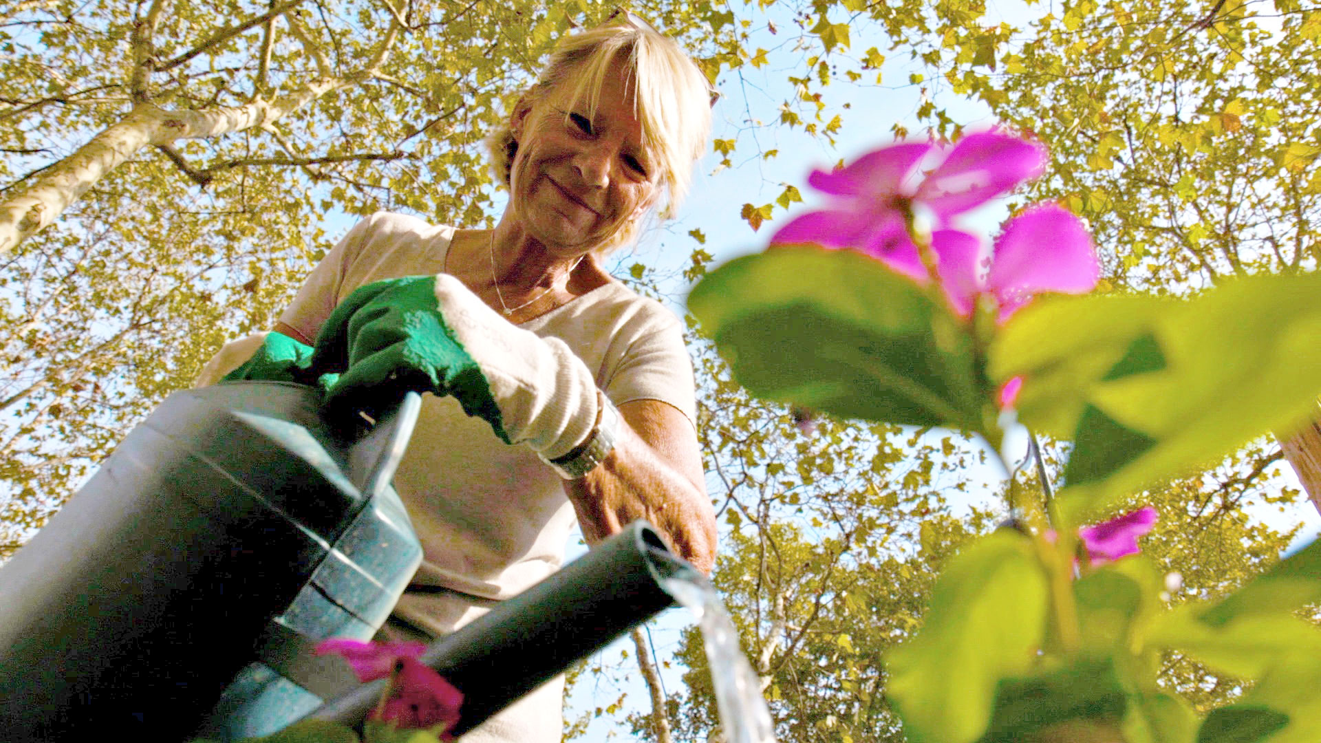 Paris: A city that is turning streets into gardens