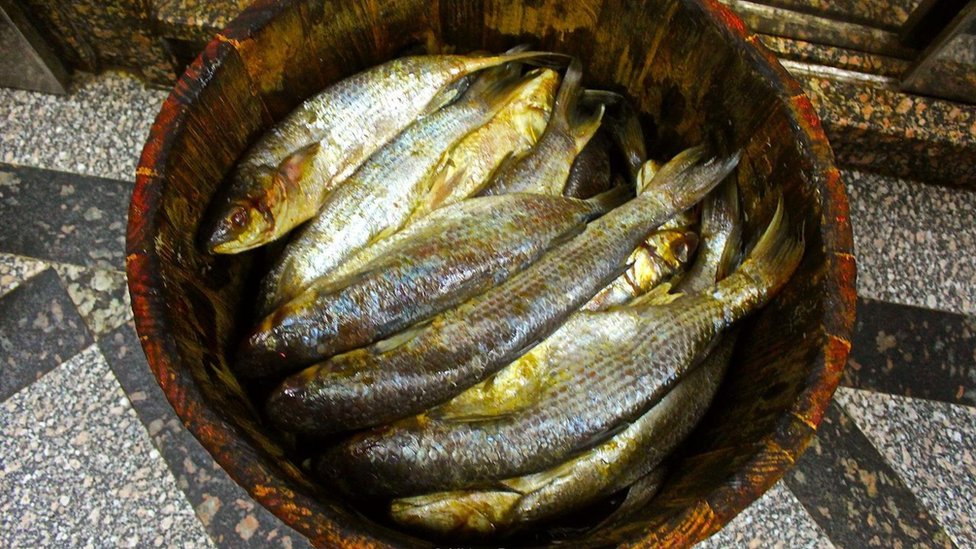 Рыба, тушеная в кефире | Диета Дюкана: рецепты, этапы диеты, атака, расчет веса, отзывы