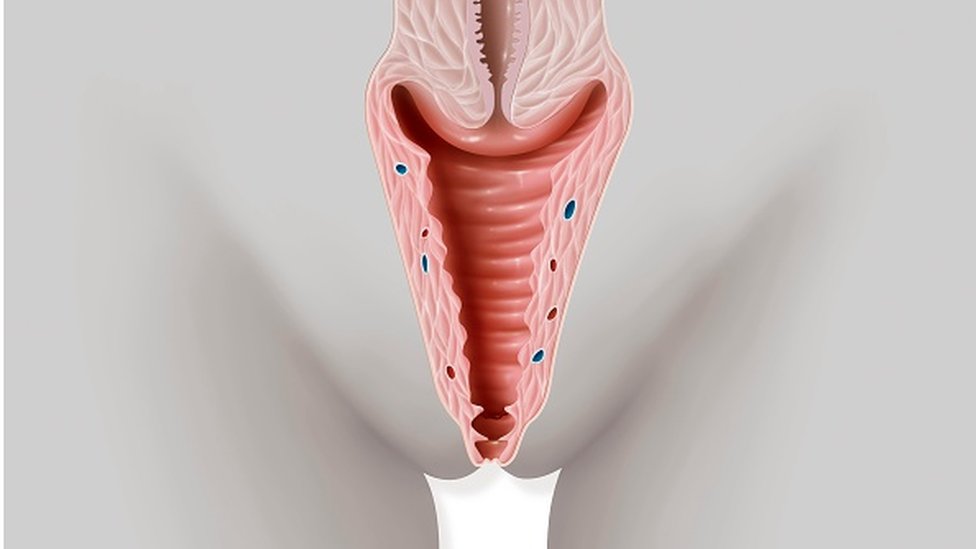 Birinchidan, Aleksis Texas kok leggingsda kameraga suratga tushadi, keyin esa yotqiziladi! Men onamning tukli eshagiga kirdim (video)