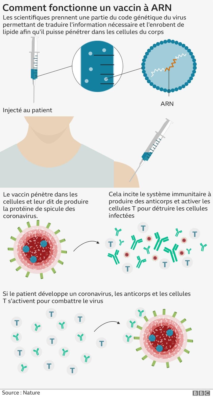 Covid : Comment la technologie ARNm peut ouvrir les portes dun vaccin  contre le cancer - BBC News Afrique