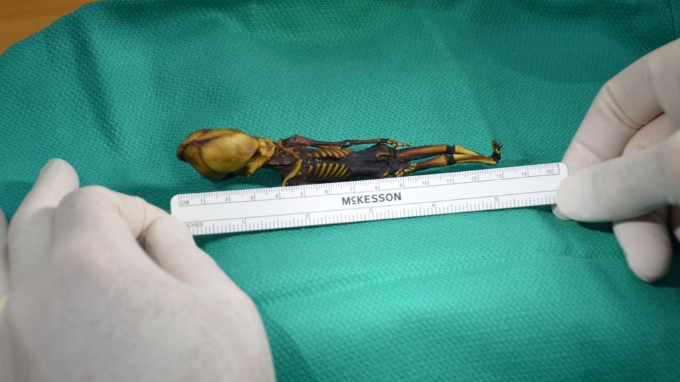 Esqueleto momificado de Ata siendo medido.