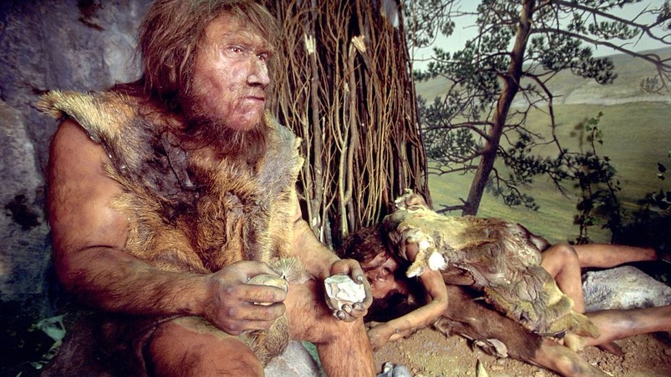 Los neandertales tenían un sistema de comunicación vocal tan complejo y eficaz como el lenguaje humano