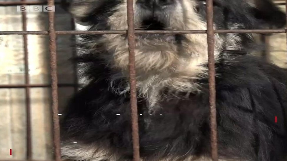 Gozal etuk rus ayollari bilan porno Katta kokrak bilan oriq porno