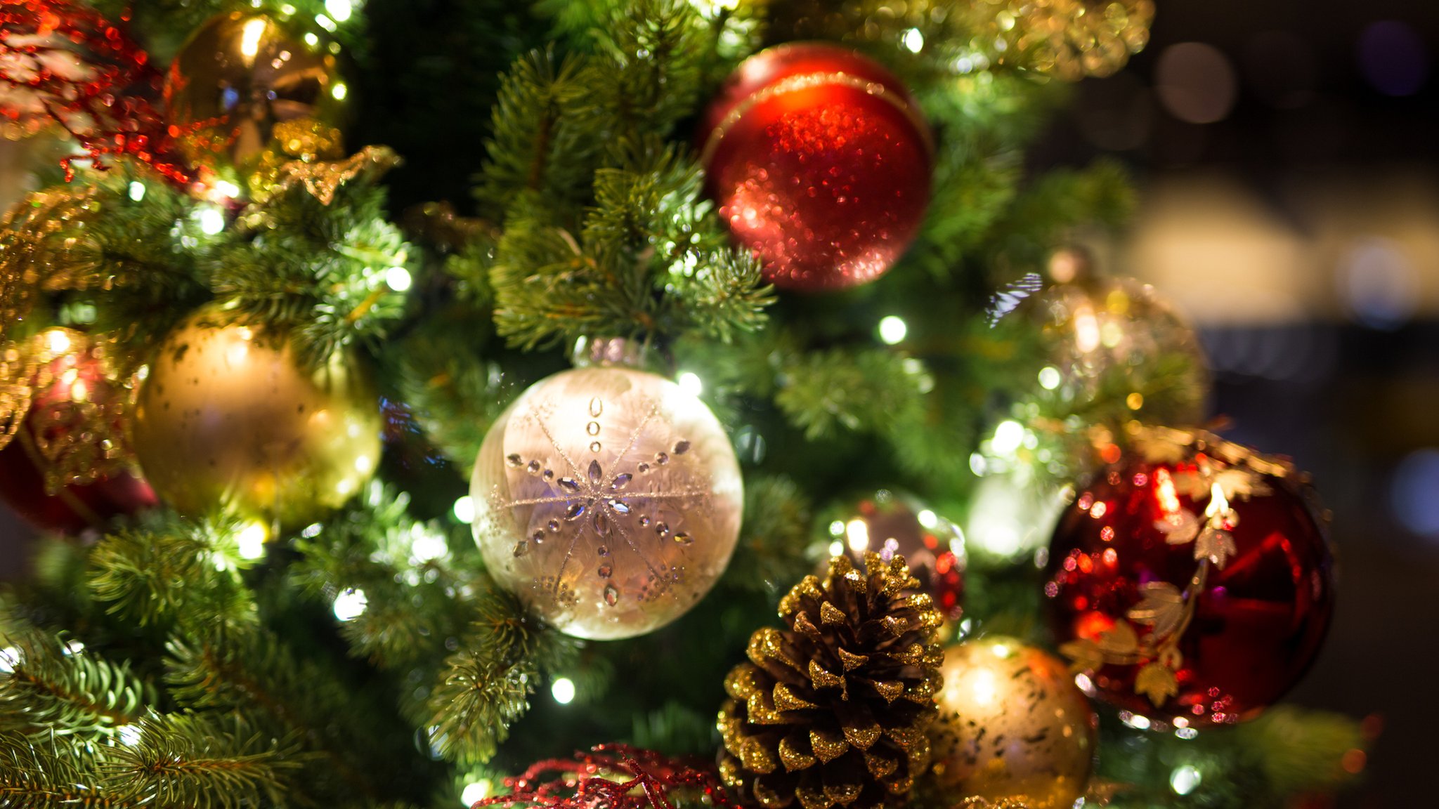 Why do we have Christmas trees? - CBBC Newsround