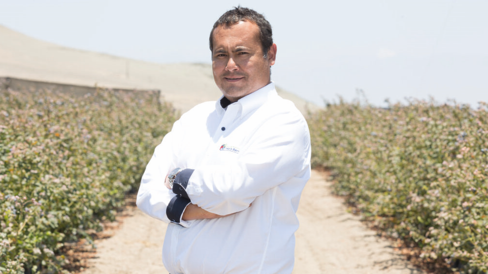 El hombre que convirtió a Perú en el mayor exportador de una fruta que  apenas existía en el país - BBC News Mundo