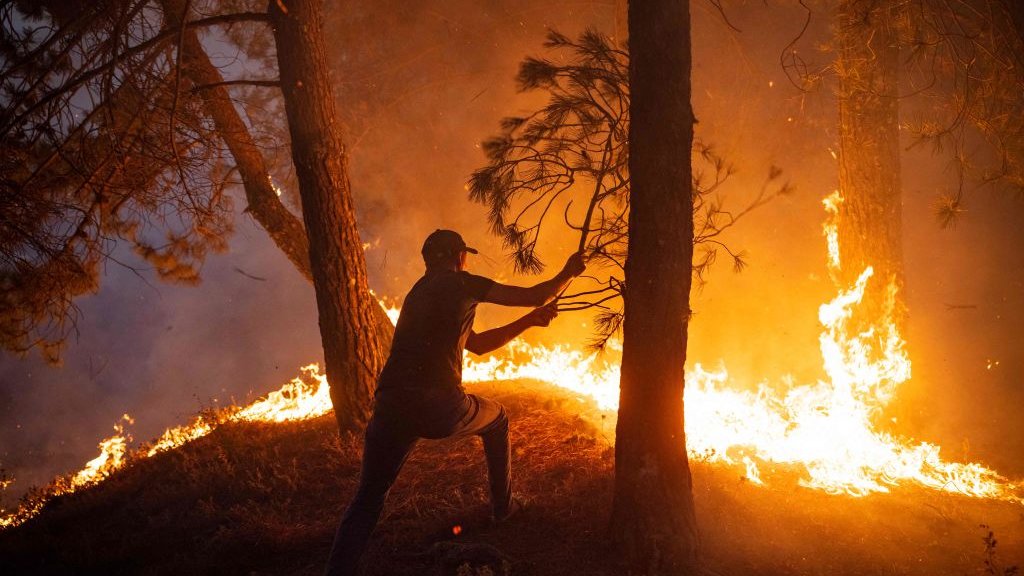 Are wildfires happening more often?