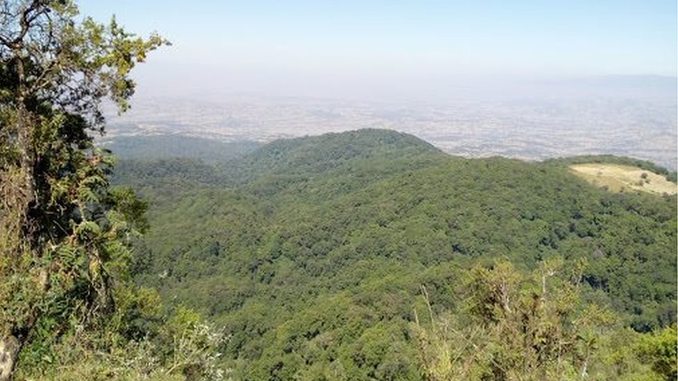 Rus keksa juftliklar ortasidagi jinsiy aloqa onlayn Jinsiy olat, sperma, mushuk surati