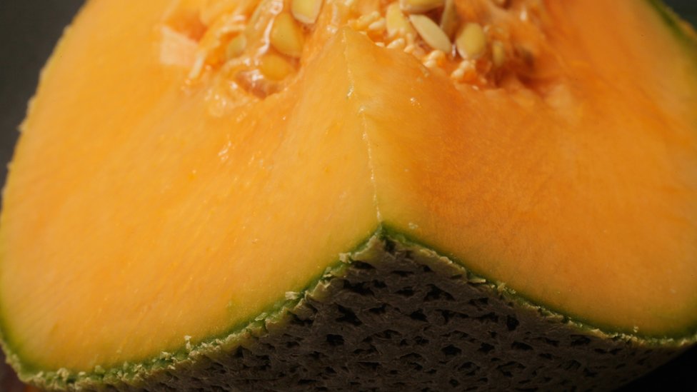 Melón