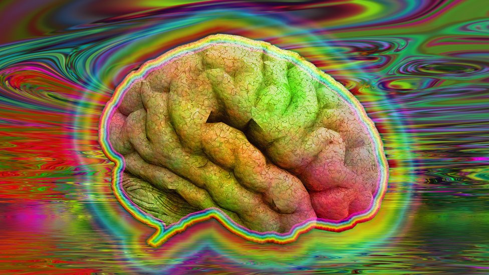 Cerebro