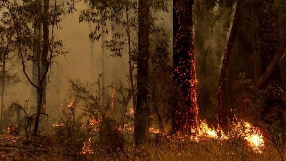 Porno yigit menga qiz dostini sikishga ruxsat berdi.