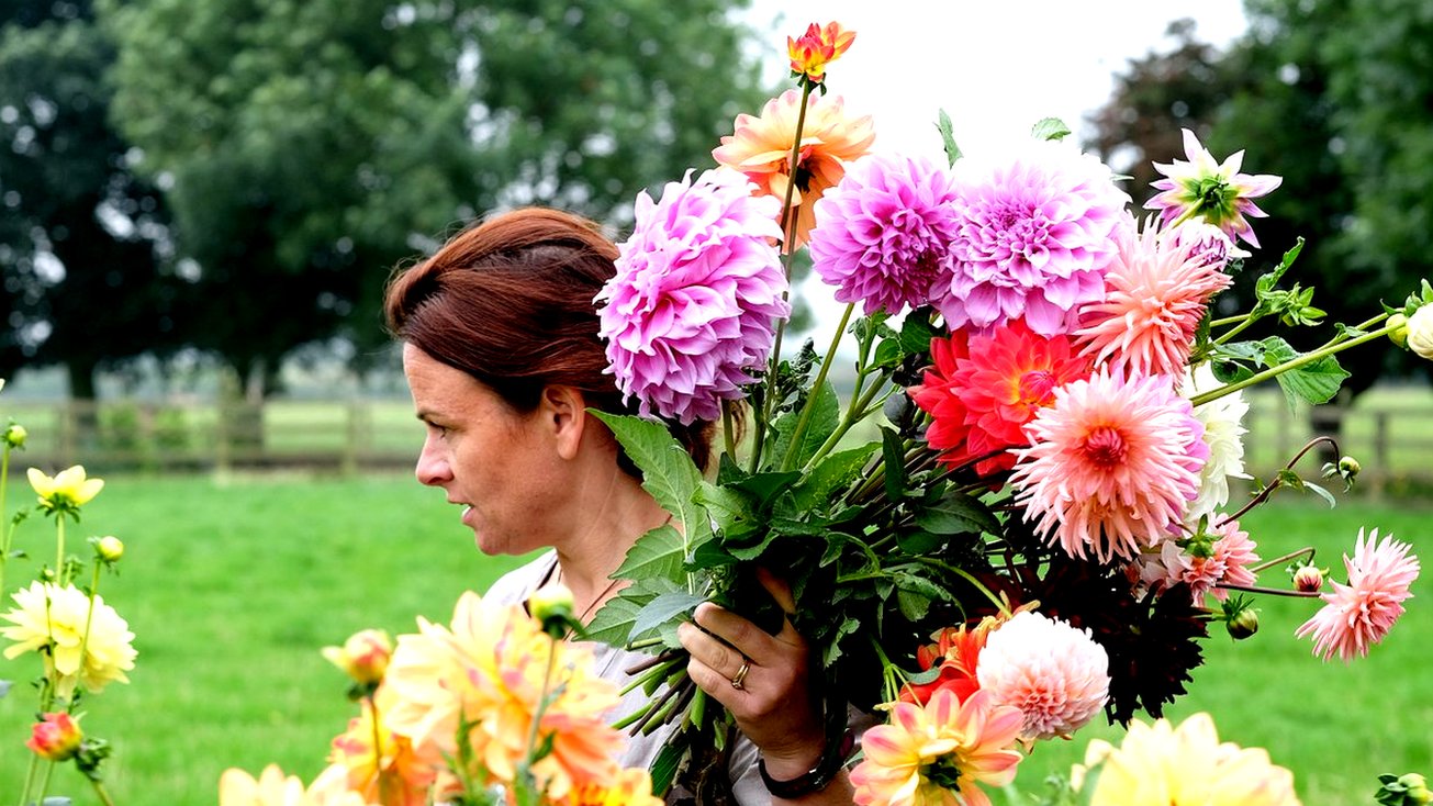 Celebrating the flower growers of Britain