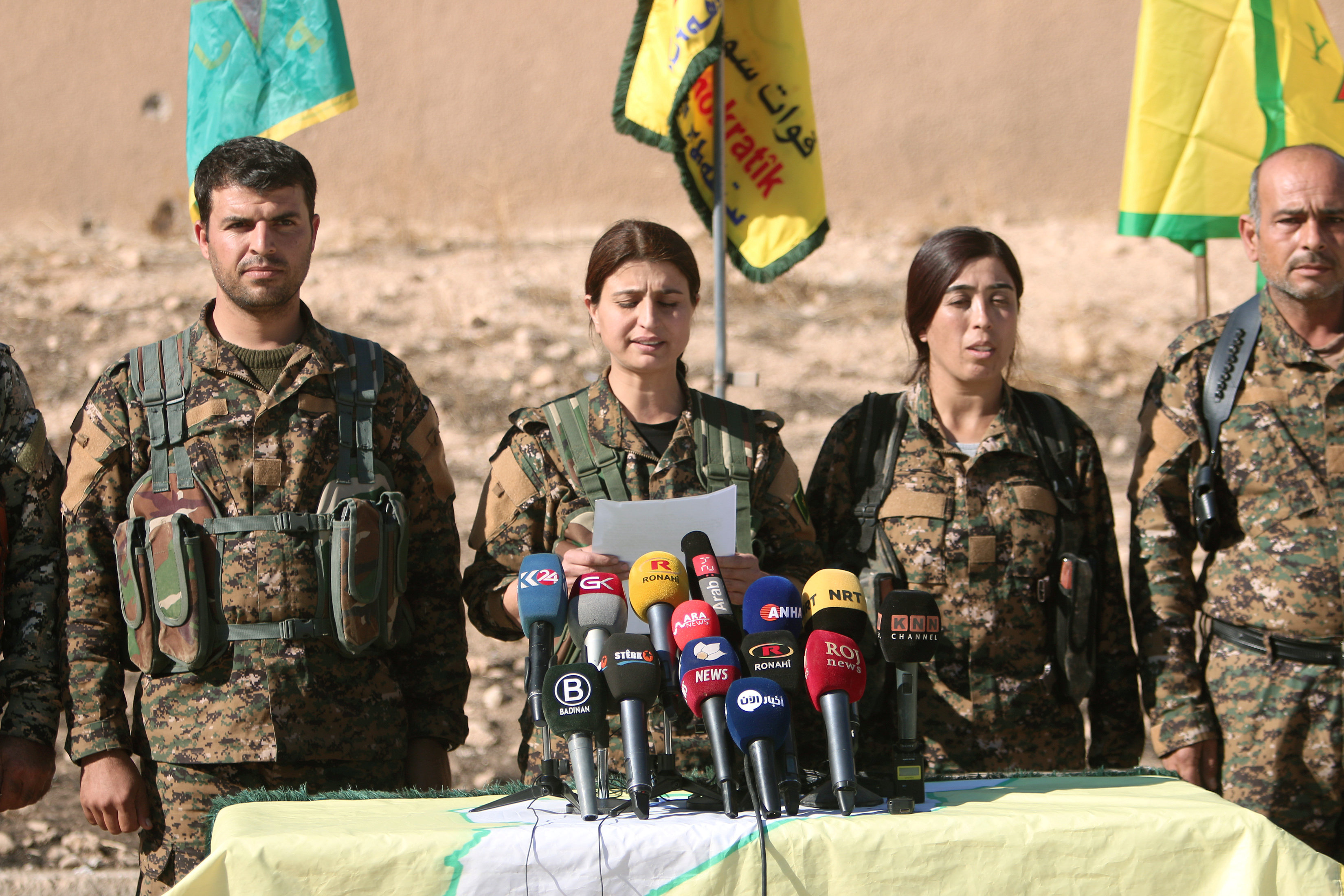実物 アサド政権 シリア軍 共和国防衛隊 バッジ