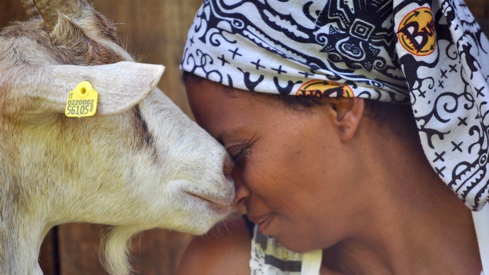 Lucia Mendez porno foto video