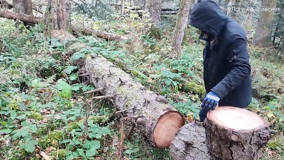 Фильм в лесу - порно видео на ecomamochka.ru