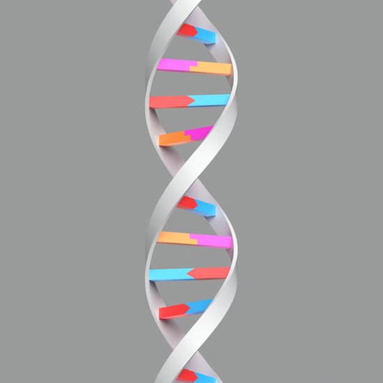 Estructura molecular del ADN.