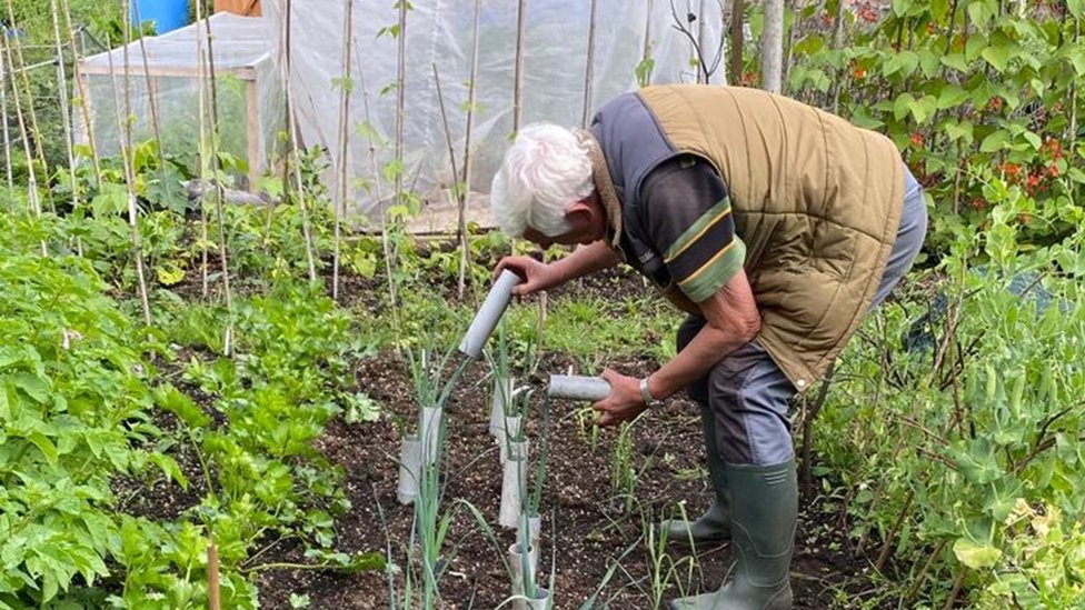 Can your allotment survive a hosepipe ban?