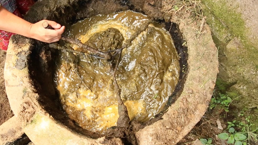 Biogas