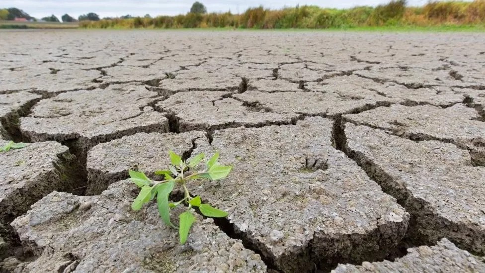Las lluvias se hacen rogar y el 90% de la zona núcleo vuelve a estar bajo  sequía - Diario Con Vos
