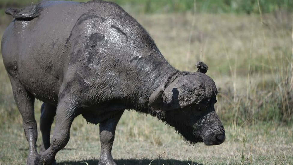 Dikli ayolni nima deb ataysiz? Fantaziya porno hd