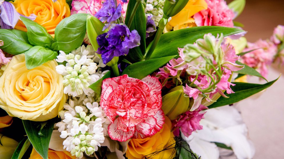 Flores