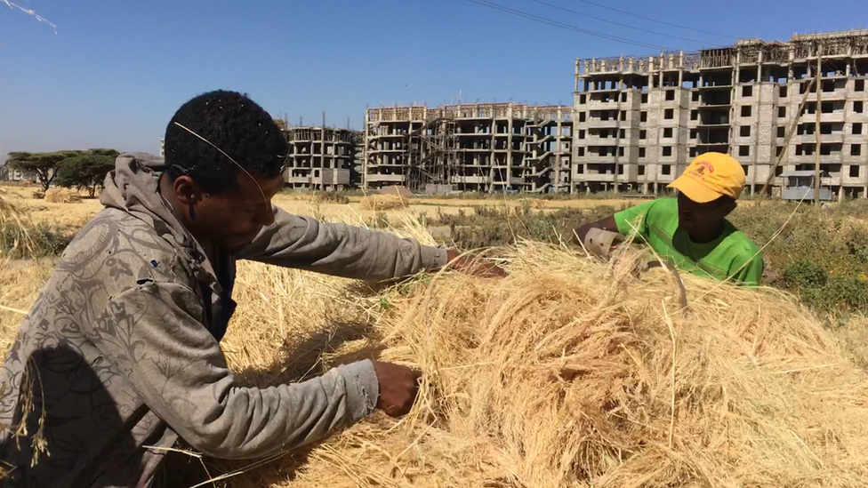 Jinsiy oyinlar gozallik va