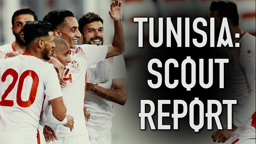 World Cup: Dion Dublin scouts England's first opponents Tunisia