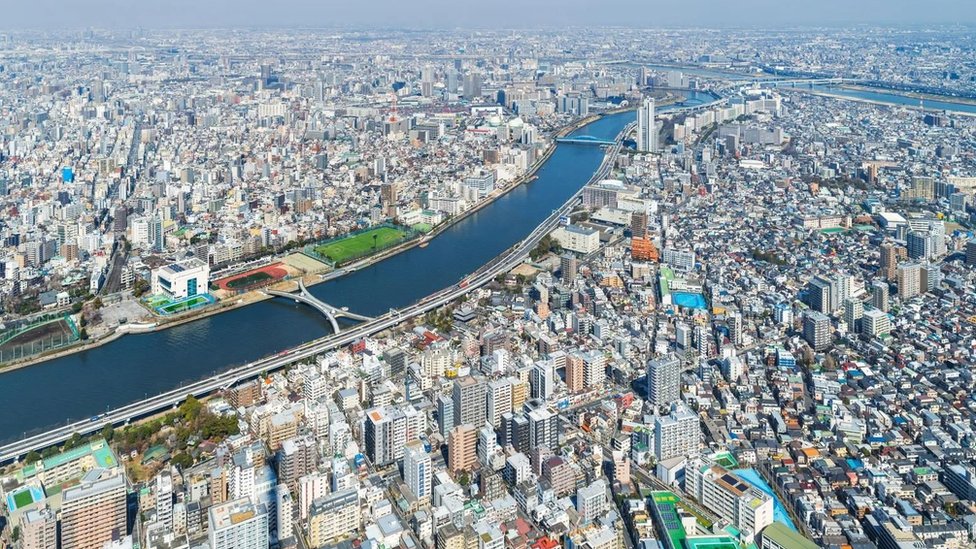 Cientistas filmam o peixe mais profundo de todos os tempos no fundo do mar  no Japão