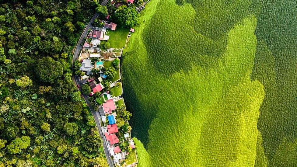 La historia detrás de la imagen del lago verde de Guatemala que ganó el  