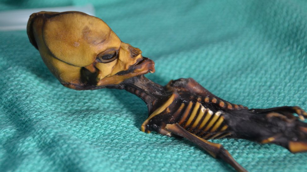 un esqueleto momificado