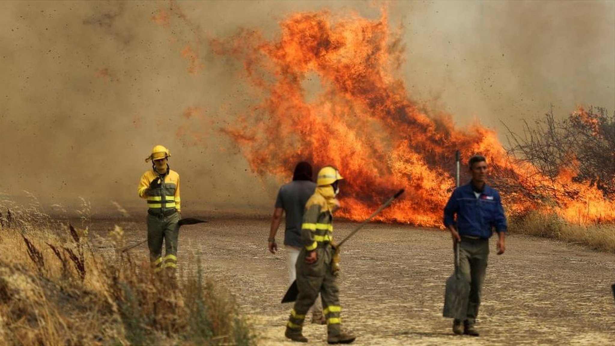 スペインの男性、山火事から命からがら避難 - BBCニュース