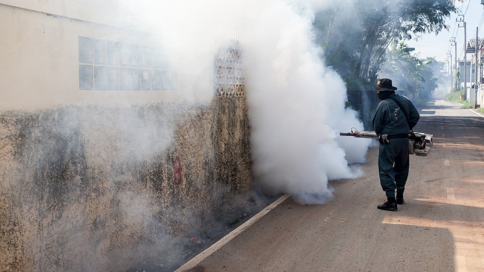 Fumigación