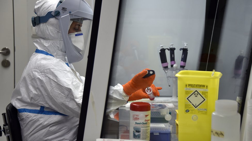 Investigación sobre el cáncer.