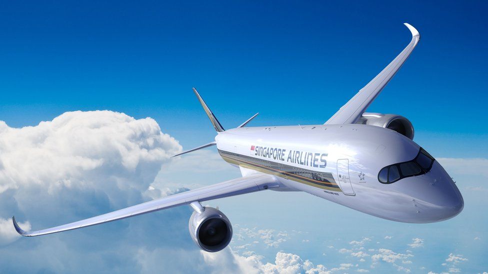 Descolorar Nacarado calibre 4 preguntas sobre el vuelo más largo del mundo entre Singapur y Nueva York  - BBC News Mundo