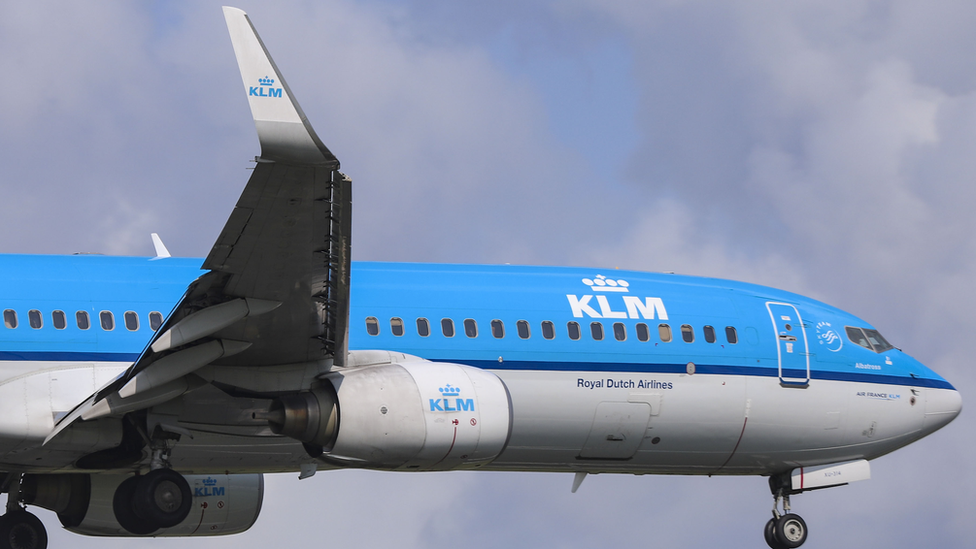 Environmentalists sue KLM for 'greenwashing'