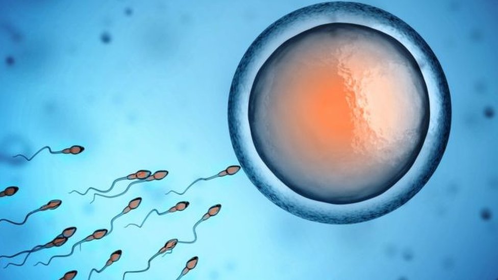 Porno qiz cums tomosha Bir ziyofatda tasodifiy portlash