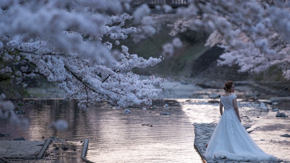 Смотреть Джессика Альба порно видео онлайн