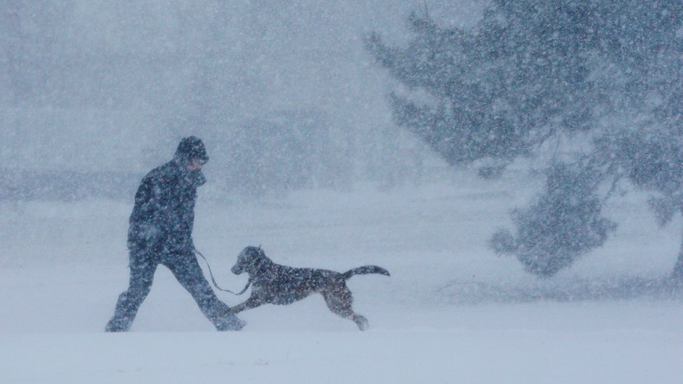 Un perro y un hombre juegan en la nieve en Boston