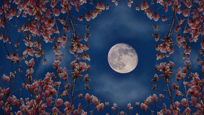 super flower blood moon