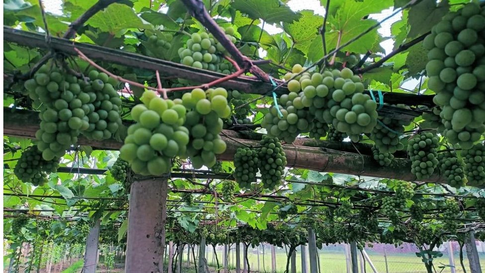 Angarskdagi fohishalar