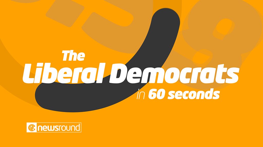 General Election 2019 The Liberal Democrats In 60 Seconds Cbbc Newsround 