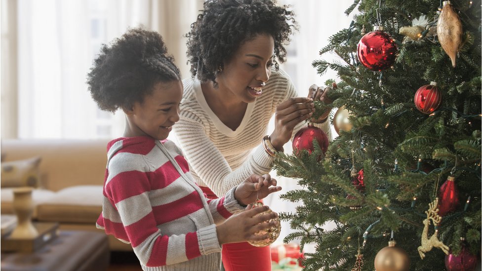 Christmas Tree Yield 2022 Are Real Christmas Trees More Eco-Friendly Than Fake Ones? - Cbbc Newsround