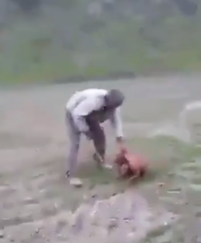 A still from the viral video showing a man beating a dog