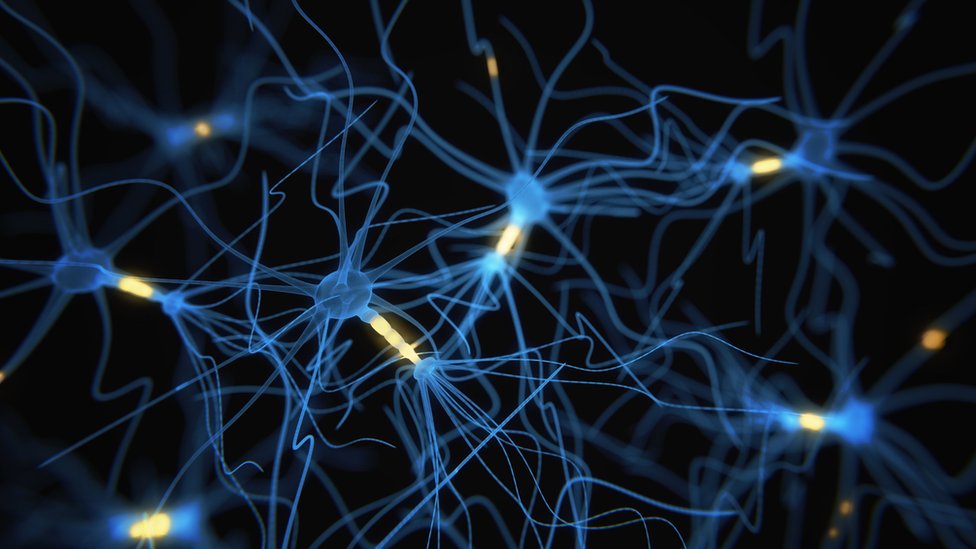 Conexiones neuronales