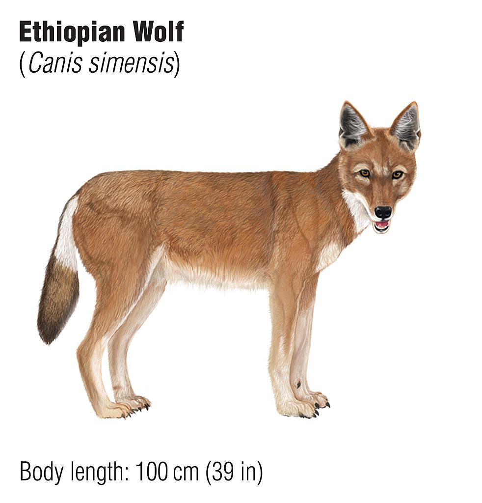 Qanday qilib qizni lezbiyen jinsiy aloqa qilish kerak Erkaklar uchun erotik jurnal muqovalari