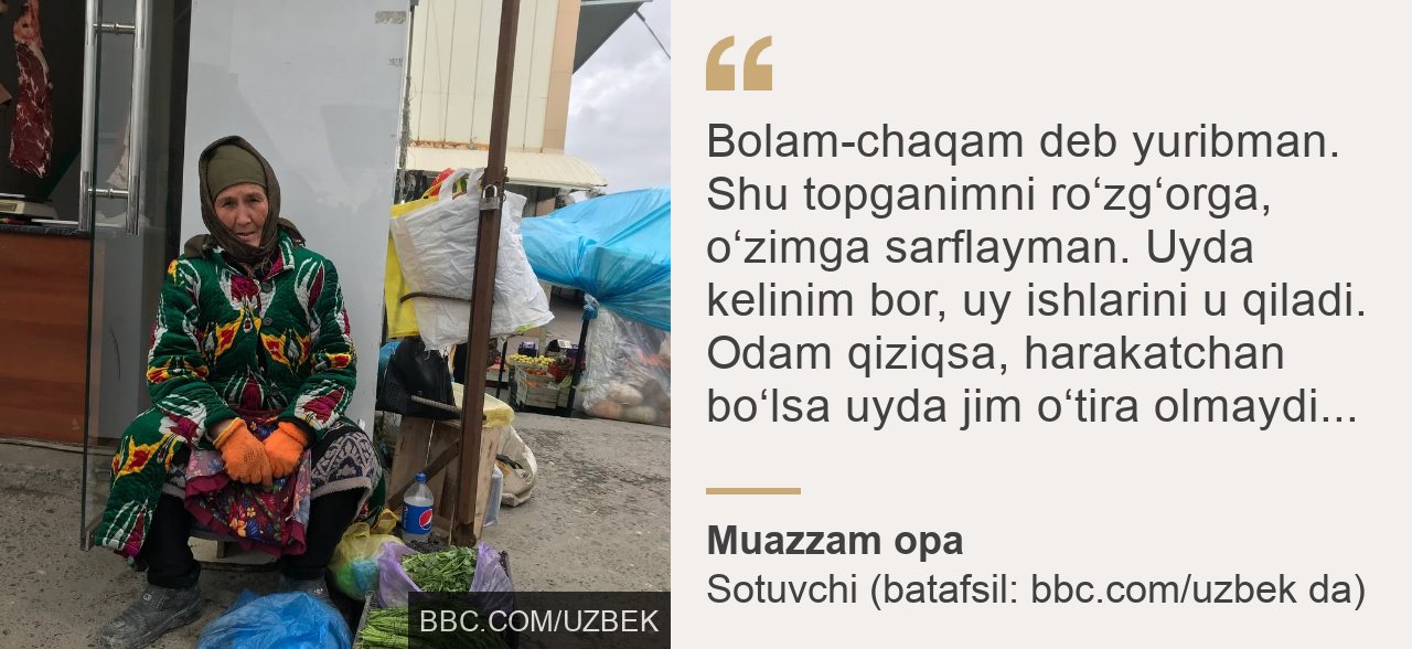 Qin ustida chivin surati