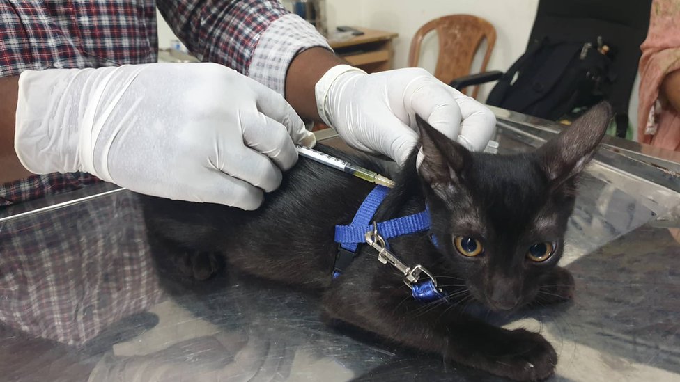 Katta eshakli xotinlar va qora tanli erkaklar bilan porno onlayn tomosha qiling.